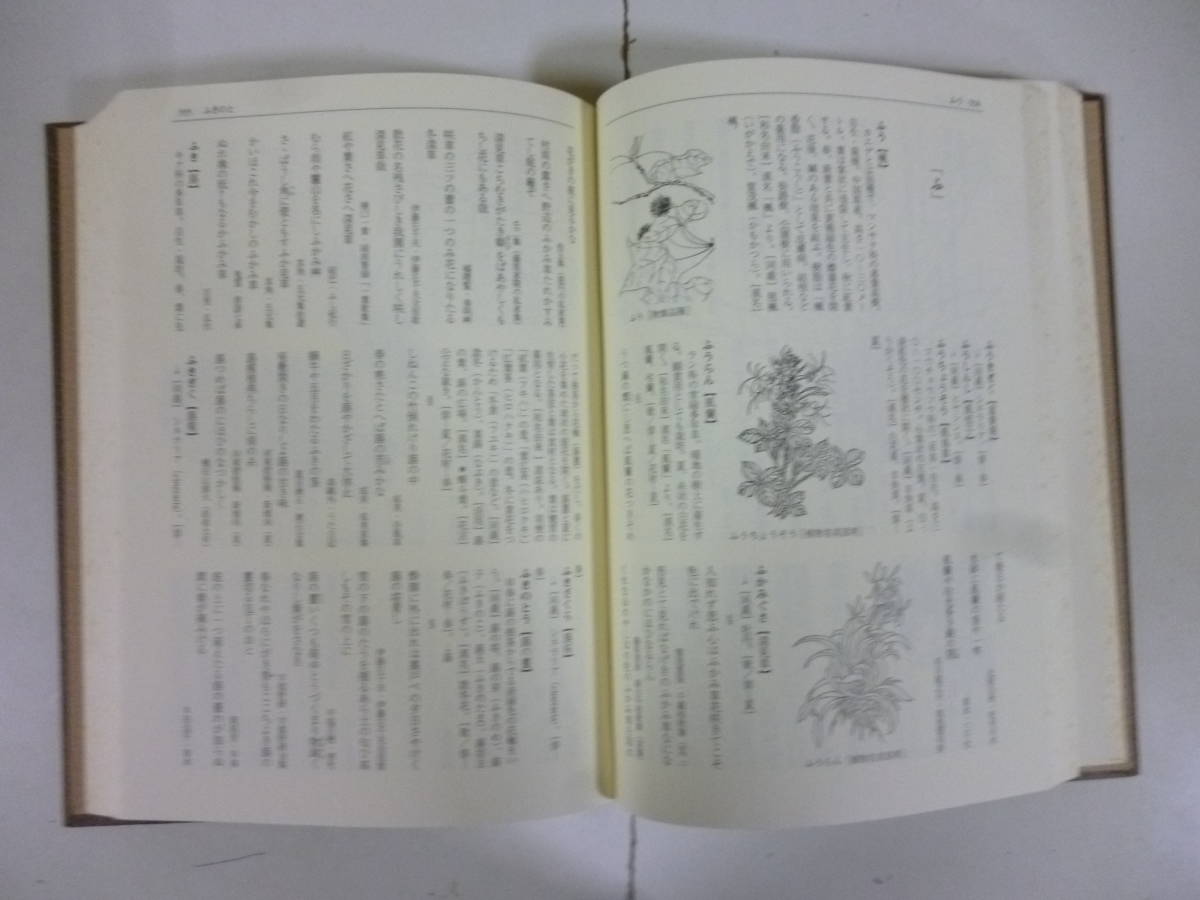 日本うたことば表現辞典 植物編（上・下）_画像4