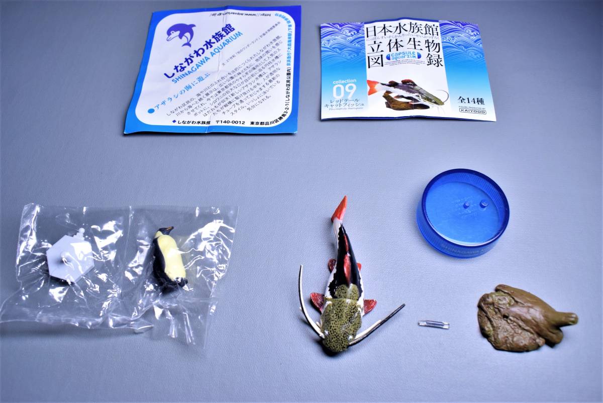  Kaiyodo Япония аквариум цельный живое существо альбом с иллюстрациями 09 красный хвост кошка рыба & низкий и высокий пингвин сделано в Японии фигурка пресноводная рыба . obi производство большой namaz