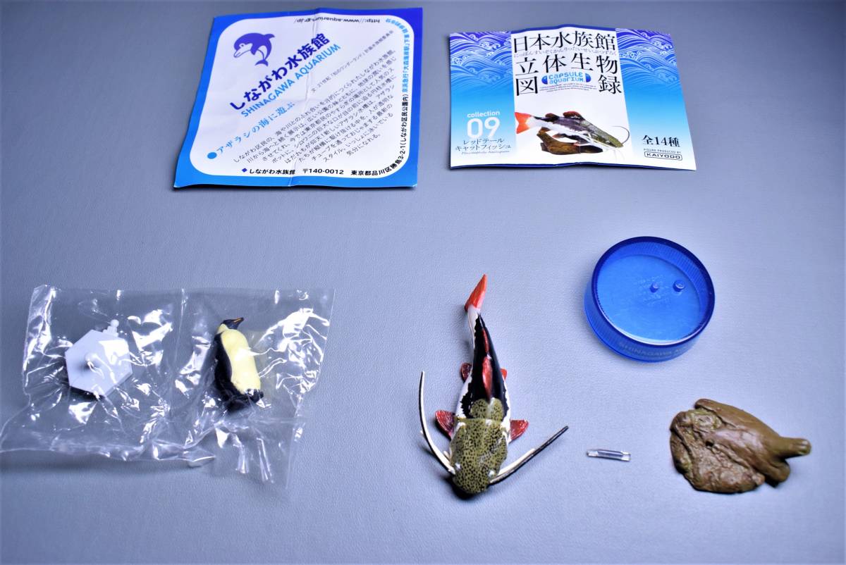 希少になる Amazon.co.jp: アツモリウオ2 【激レア】日本水族館立体生物図録 生き物
