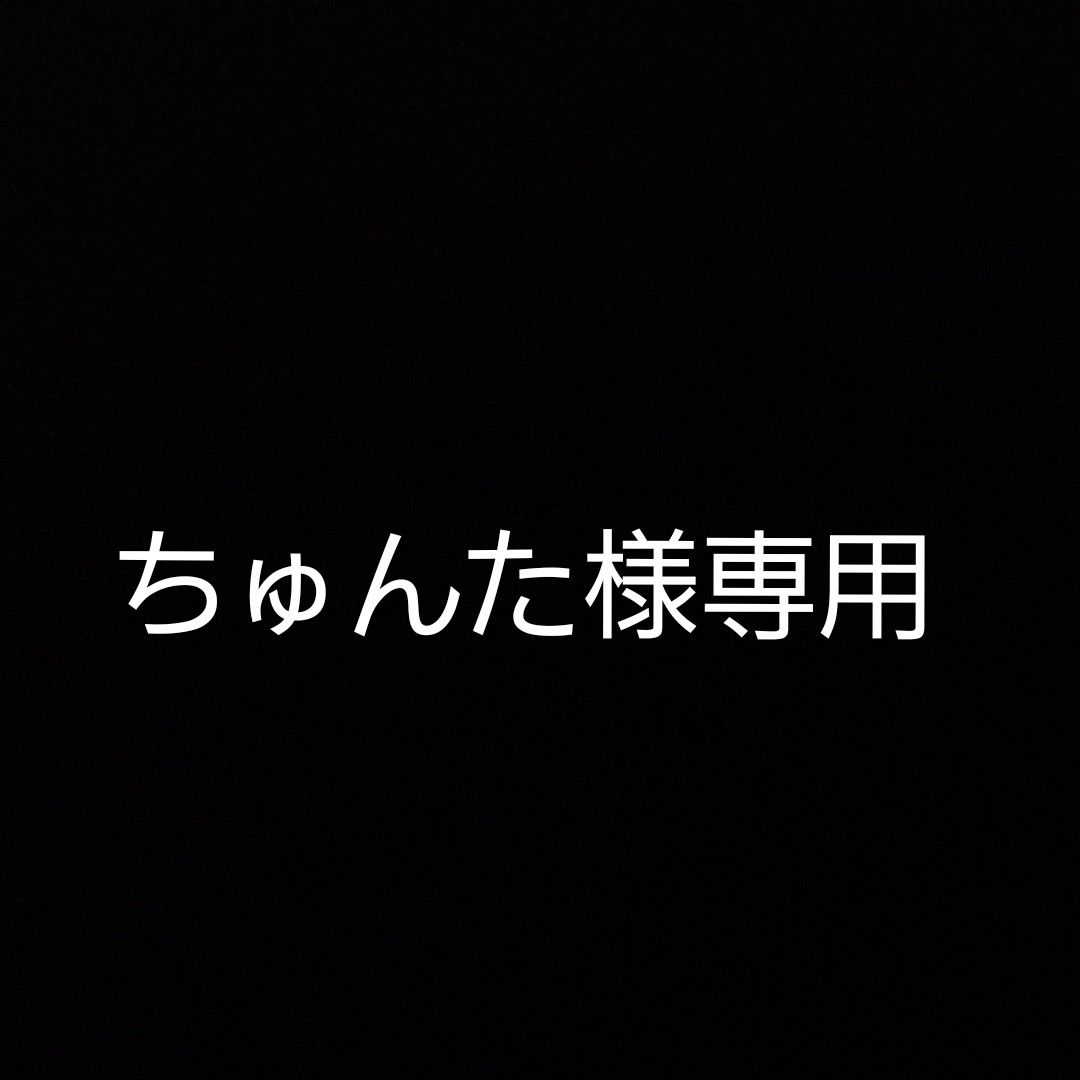 ちゅんた様専用｜Yahoo!フリマ（旧PayPayフリマ）