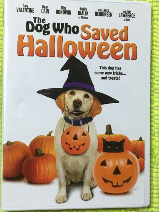 ワンちゃんの実写版＆英語版DVD・The Dog Who Saved Halloween♪_画像1
