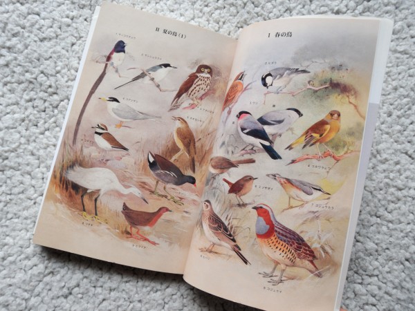  wild bird -years old hour chronicle (. mountain . various subjects library ) mountain . spring .
