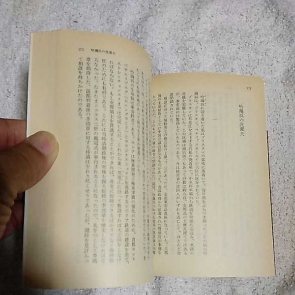 曠野の花 石光真清の手記 2 (中公文庫) 石光 真清 訳あり 9784122005822_画像10