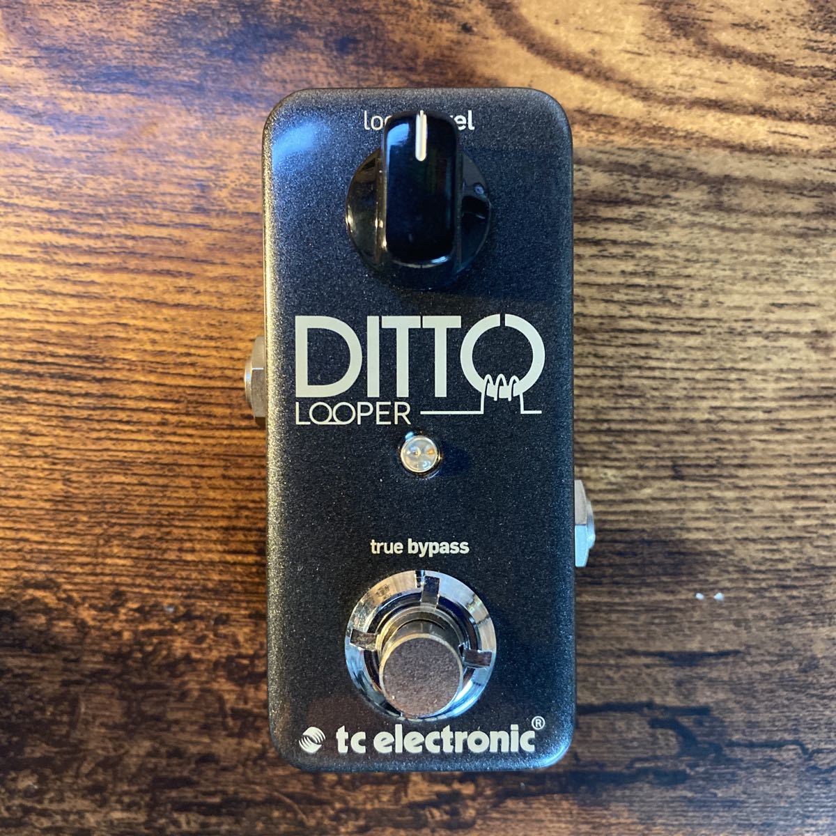 ヤフオク! - tc electronic 1ボタン ルーパー DITTO