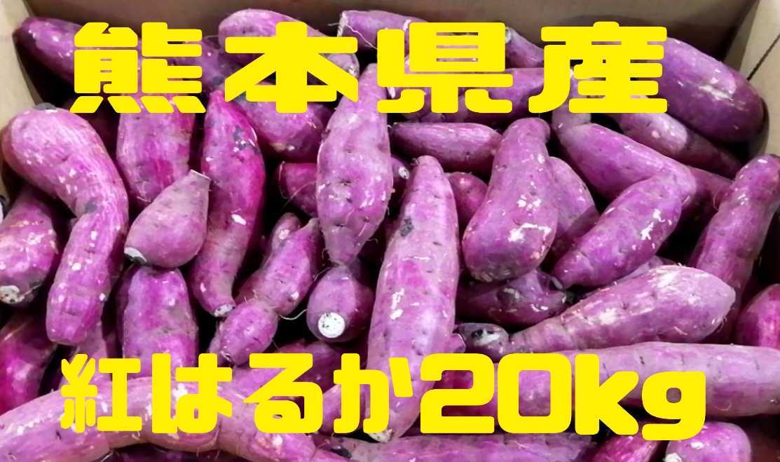 公式サイト 熊本県産 さつまいも『紅はるか』焼き芋サイズ 約20キロ