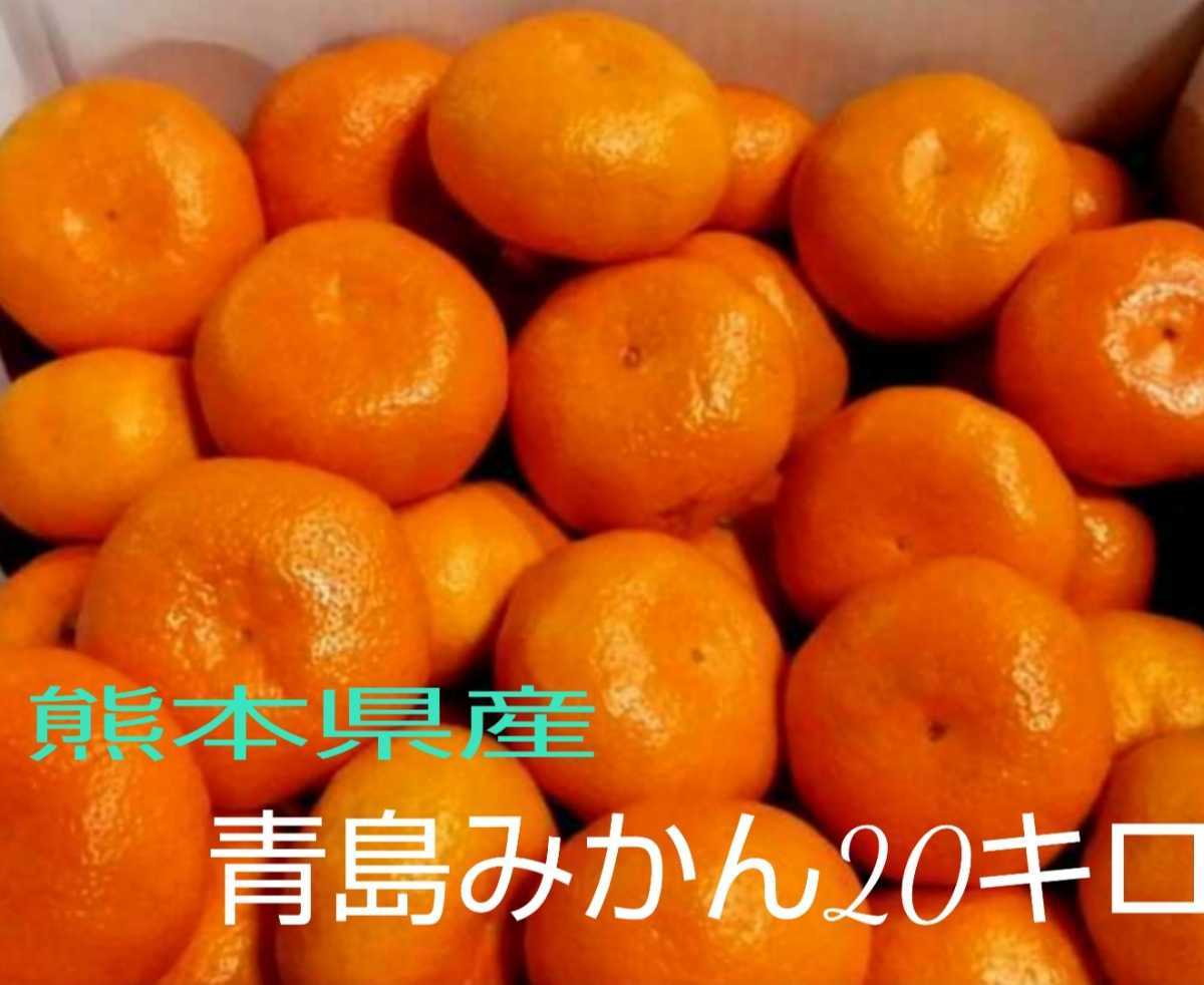 人気TOP 熊本県産 青島みかん 箱込20キロ 専用 ubat.fr