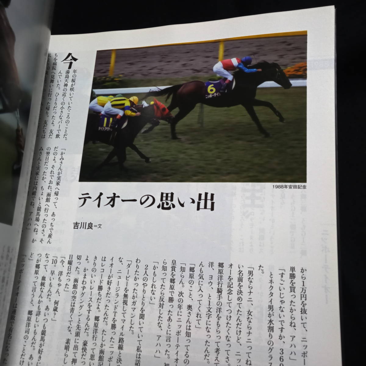 JRA60周年記念　60YEARS 名馬伝説　下　1954-1993_画像5