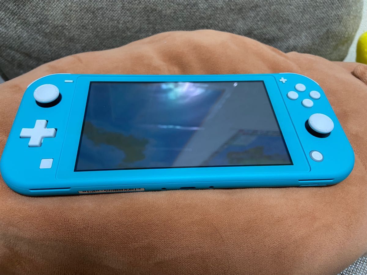 ニンテンドー スイッチライト Nintendo Switch Lite ターコイズ 本体（外箱、充電器付き）