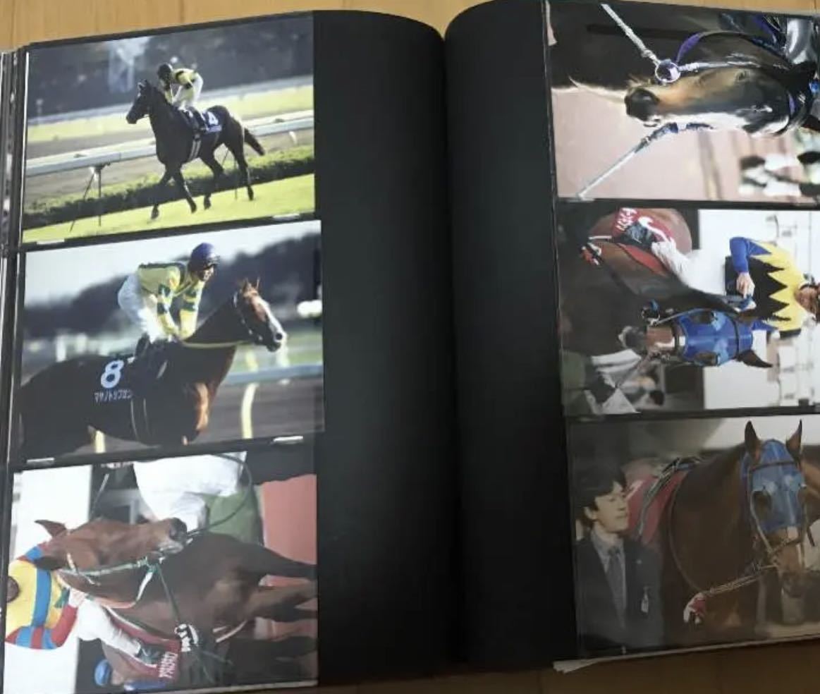 名馬 生写真 写真集 レース写真 種牡馬 競走馬 ナリタブライアン