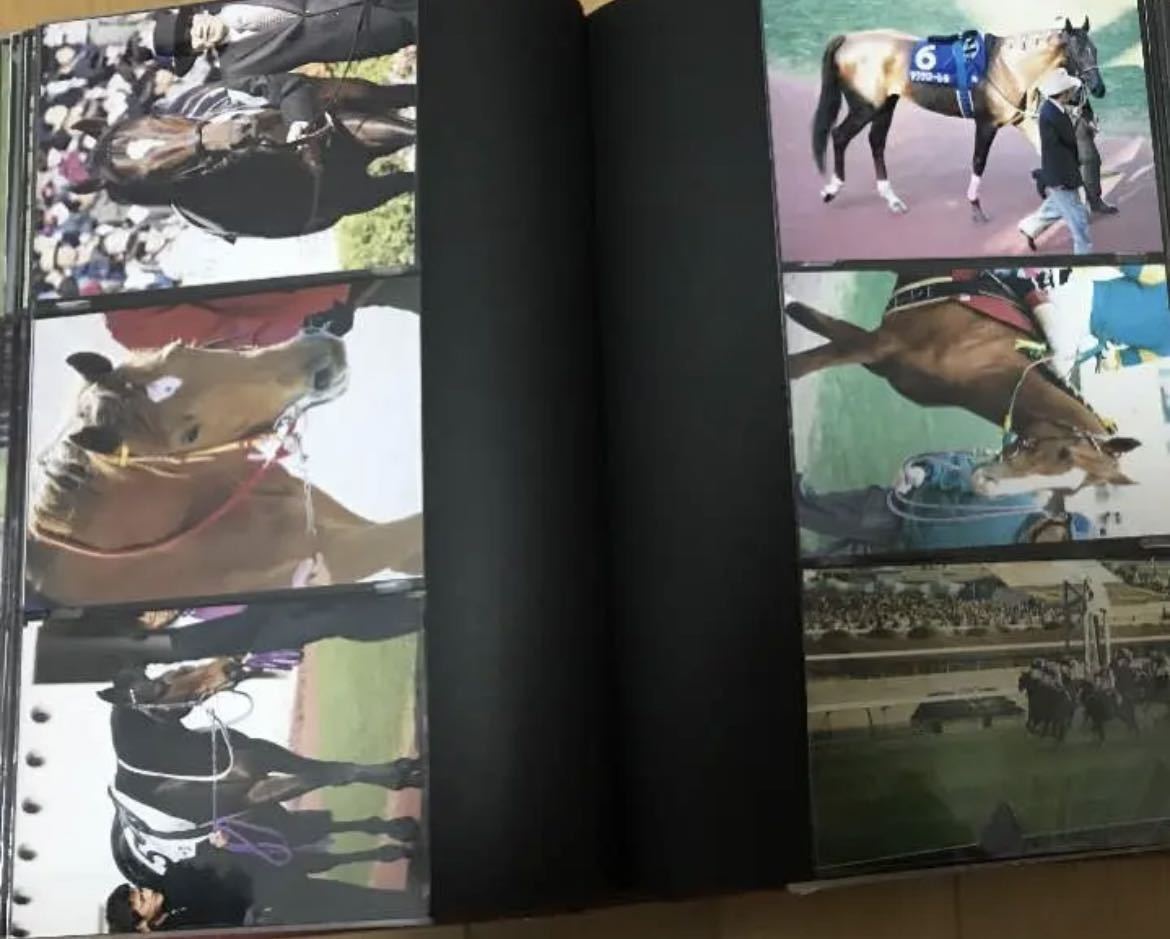 名馬 生写真 写真集 競走馬 オグリキャップ ナリタブライアン