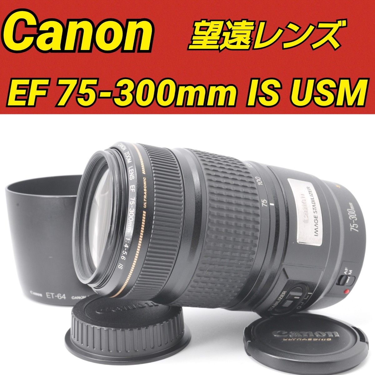 迫力の300㎜ Canon キヤノン 望遠レンズ EF100-300mm - レンズ(ズーム)