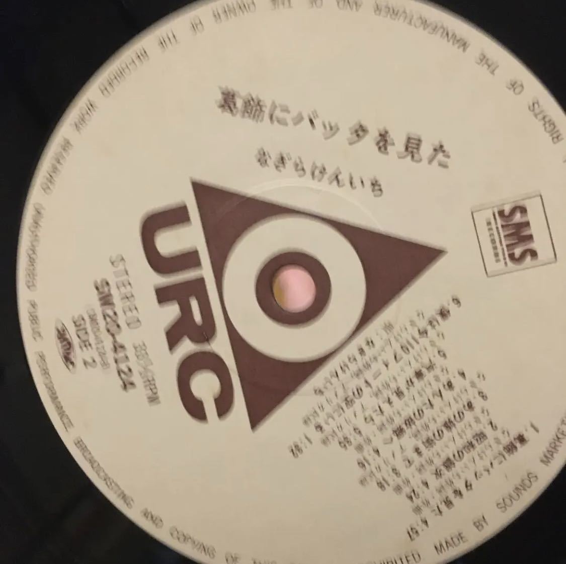 なぎらけんいち 葛飾にバッタを見た アナログ盤 和モノ_画像8