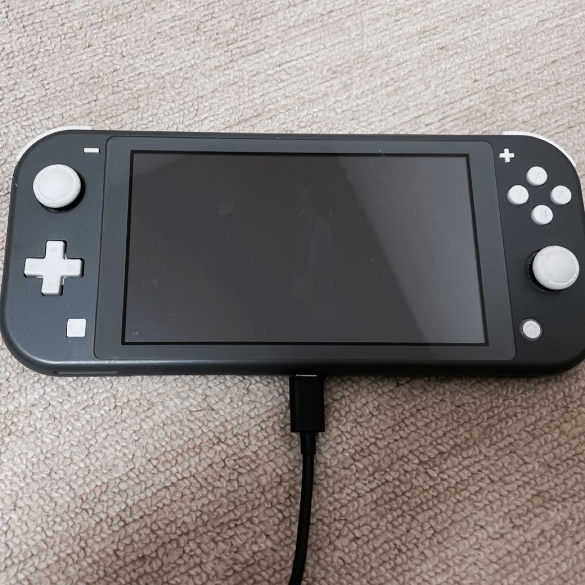 任天堂スイッチライト グレー／Nintendo Switch Lite グレー 充電器