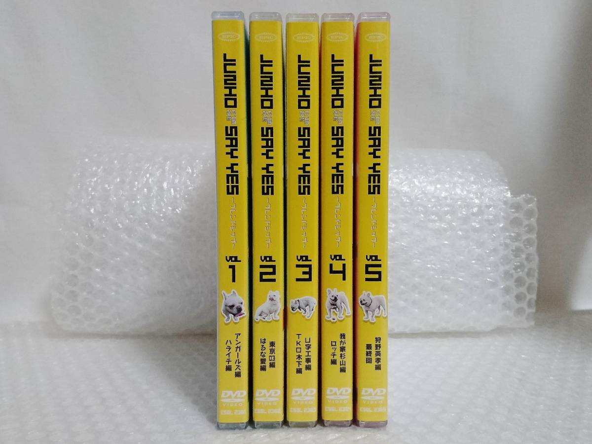 動作品+廃盤品　Sony Music Labels　DVD　JUNHO(From 2PM)　SAY YES　フレンドシップ　全5巻　ジュノ