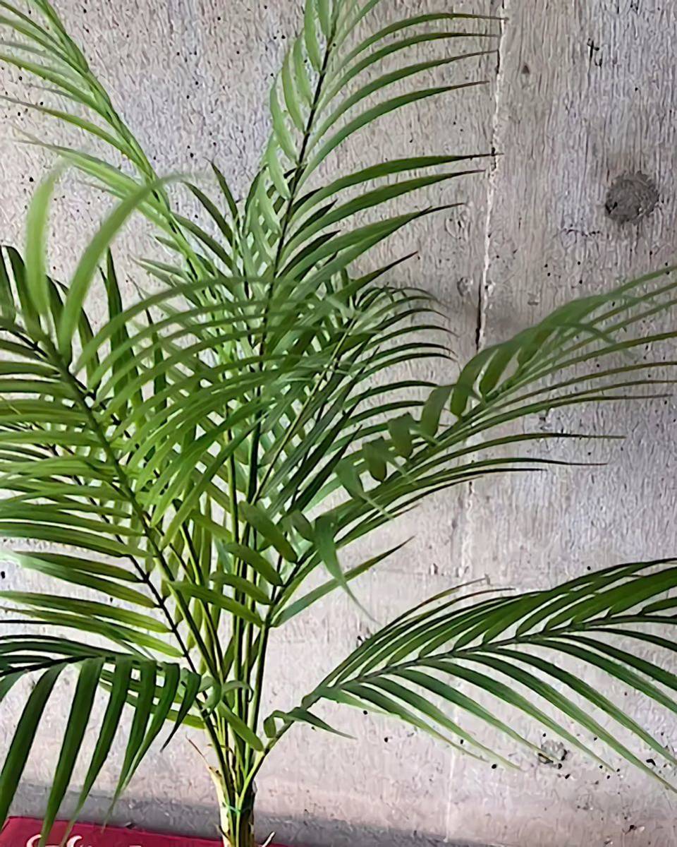 光触媒 人工観葉植物 ウォールグリーン フェイク フラワー