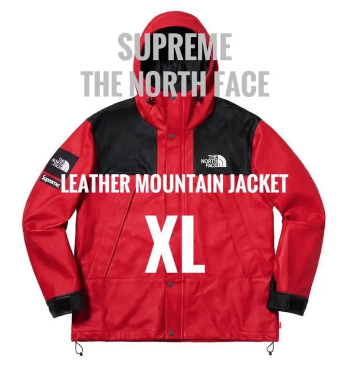 XL Supreme The North Face Leather Mountain Parka 2018FW｜Yahoo