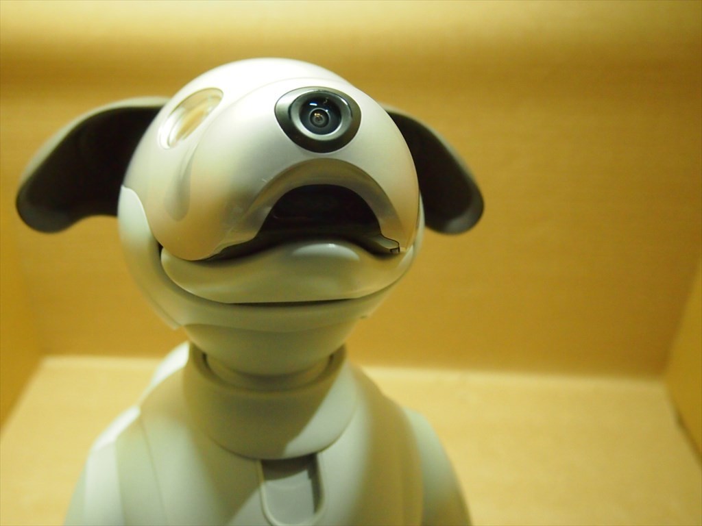 T【ル1-65】【140サイズ】SONY ソニー/ERS-1000/aibo アイボ/※通電・一