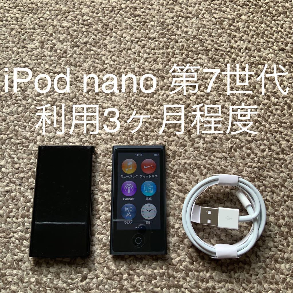 59％以上節約 iPod nano 第7世代 16GB Appleアップル アイポッド 本体