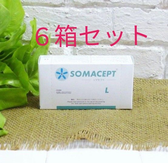 ソマセプト L 100個入り × 6箱セット ボディケア ボディケア www