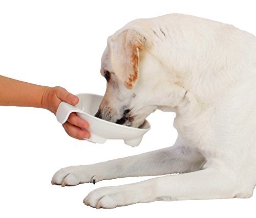 petio(Petio) значительно . держать рука есть посуда для маленьких собак маленький 
