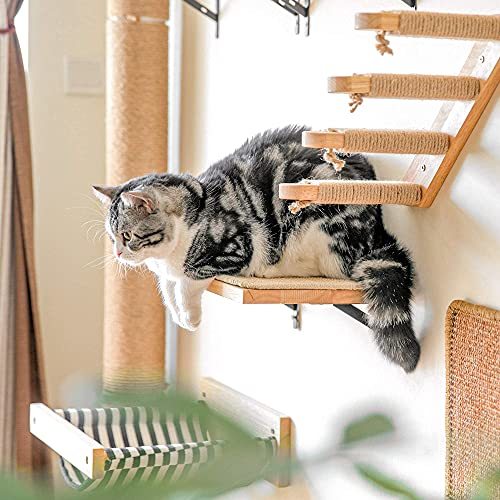 FUKUMARU wall hung type cat for step cat walk wooden installation easiness 