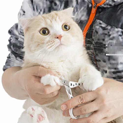 猫壱（necoichi） ストレスなくスパッと切れる猫用爪切り 日本製_画像8