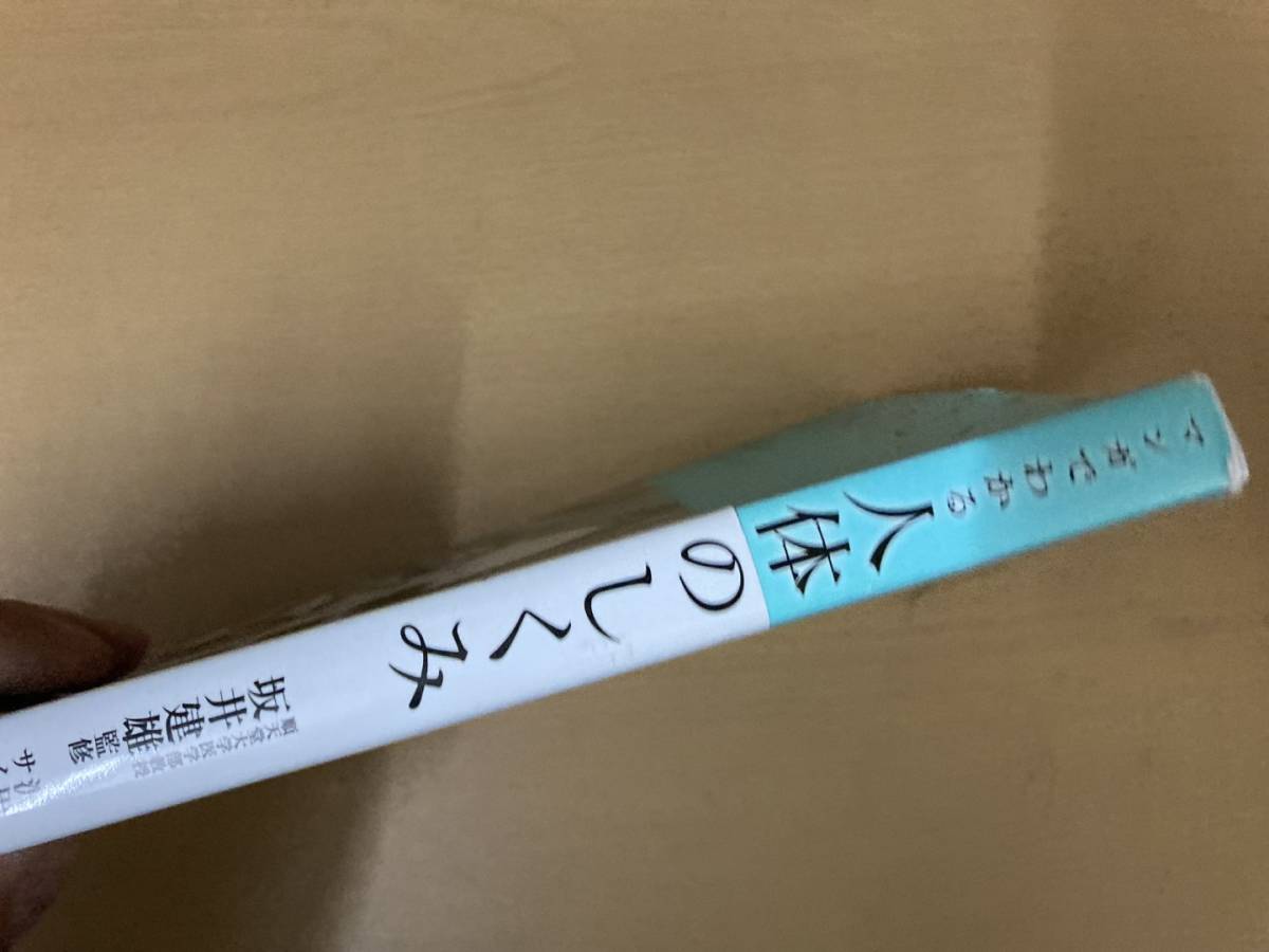 マンガでわかる 人体のしくみ / 坂井建雄 / 驚くほど合理的な骨格の構造 / 命を支える臓器の働き / からだの司令塔である脳のしくみ/TX6_画像2