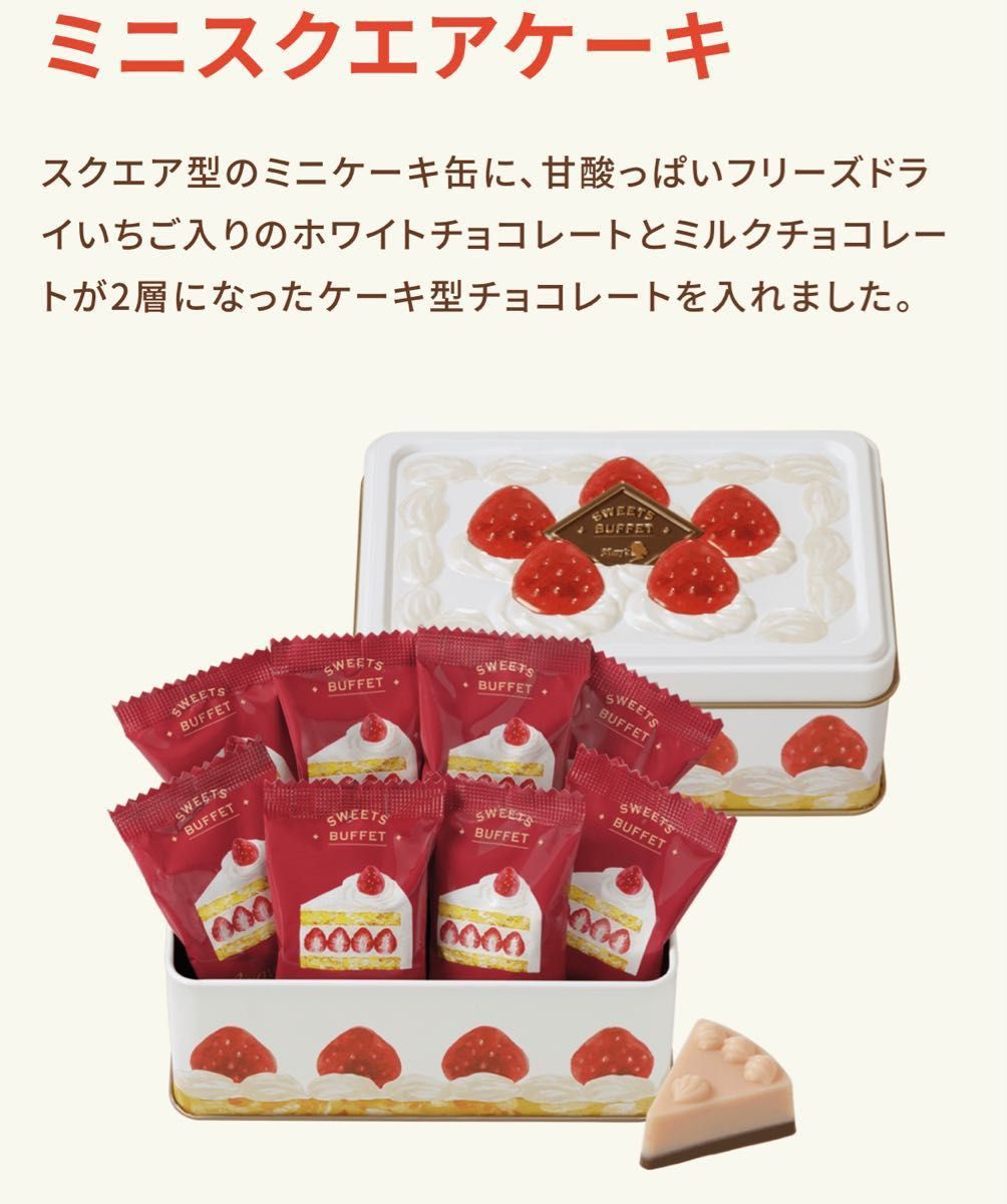 メリーチョコレート(イオン限定) スクエアケーキアソート 5個セット-