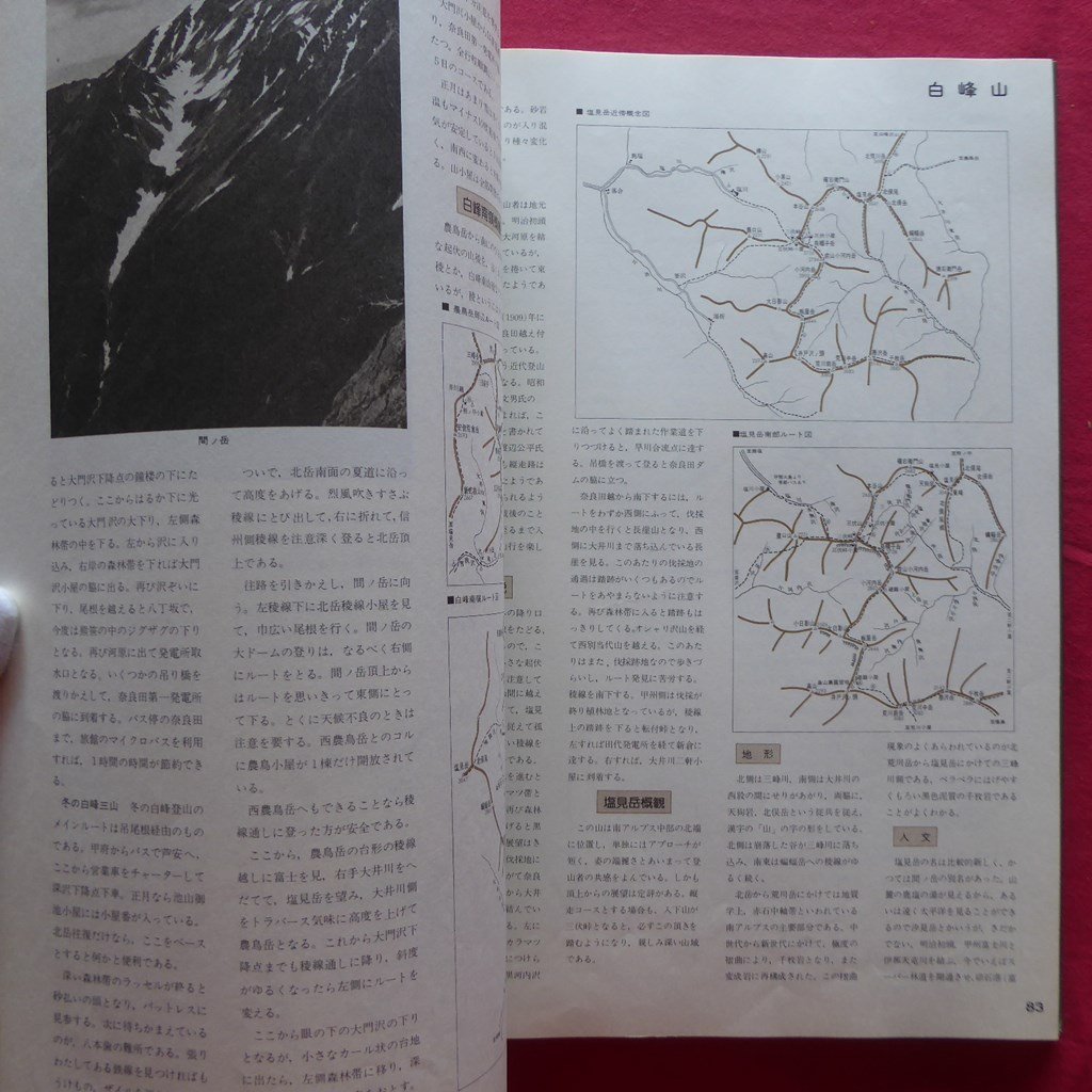  large 16[ Japan mountains map compilation . no. 2 compilation ( Chuubu mountains ( south part )- Kyushu compilation )/ Gakken * Showa era 50 year ] Mt Fuji / tree . piece pieces peak /.. place peak /. mountain / inside Tama 