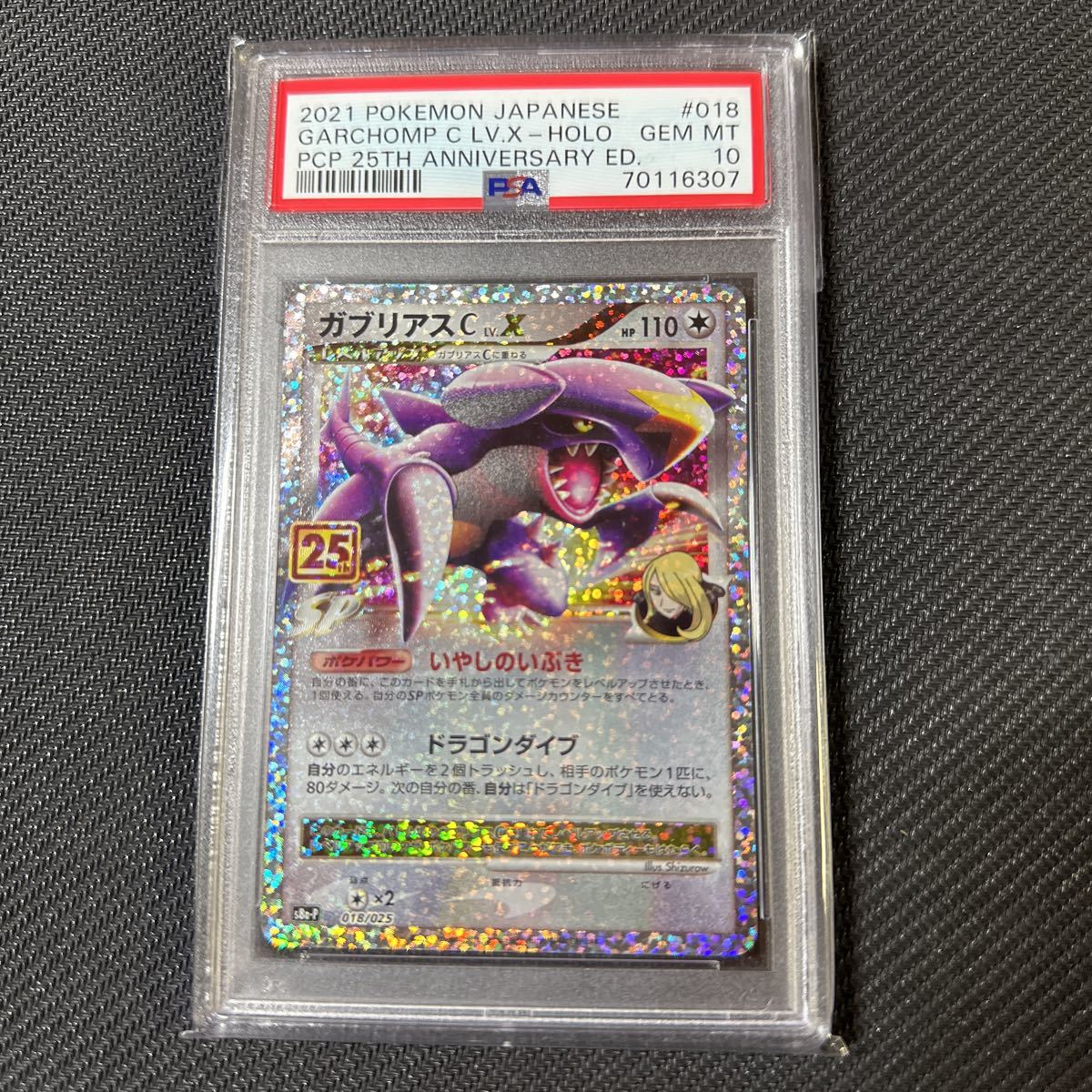 PSA10 ポケモンカード 25th ガブリアス X pokemon card GEM MT PSA10 ポケモンカード 25th ガブリアス X pokemon card GEM MT