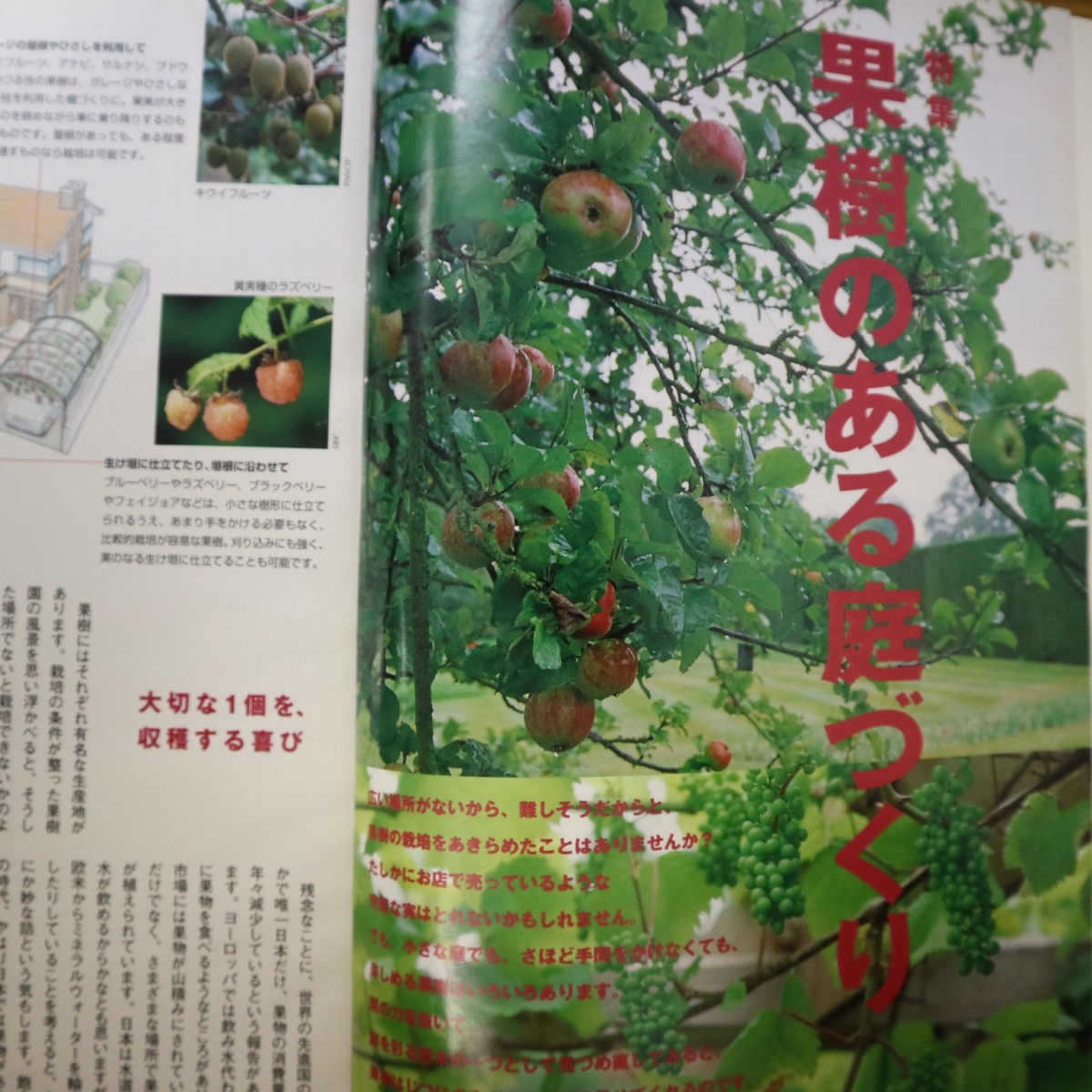 特2 51022 / NHK趣味の園芸 2000年11月号 果樹のある庭づくり ラ フランス 、ラズベリー、ブラックベリー ほか アリューム 実ものを楽しむ_画像3