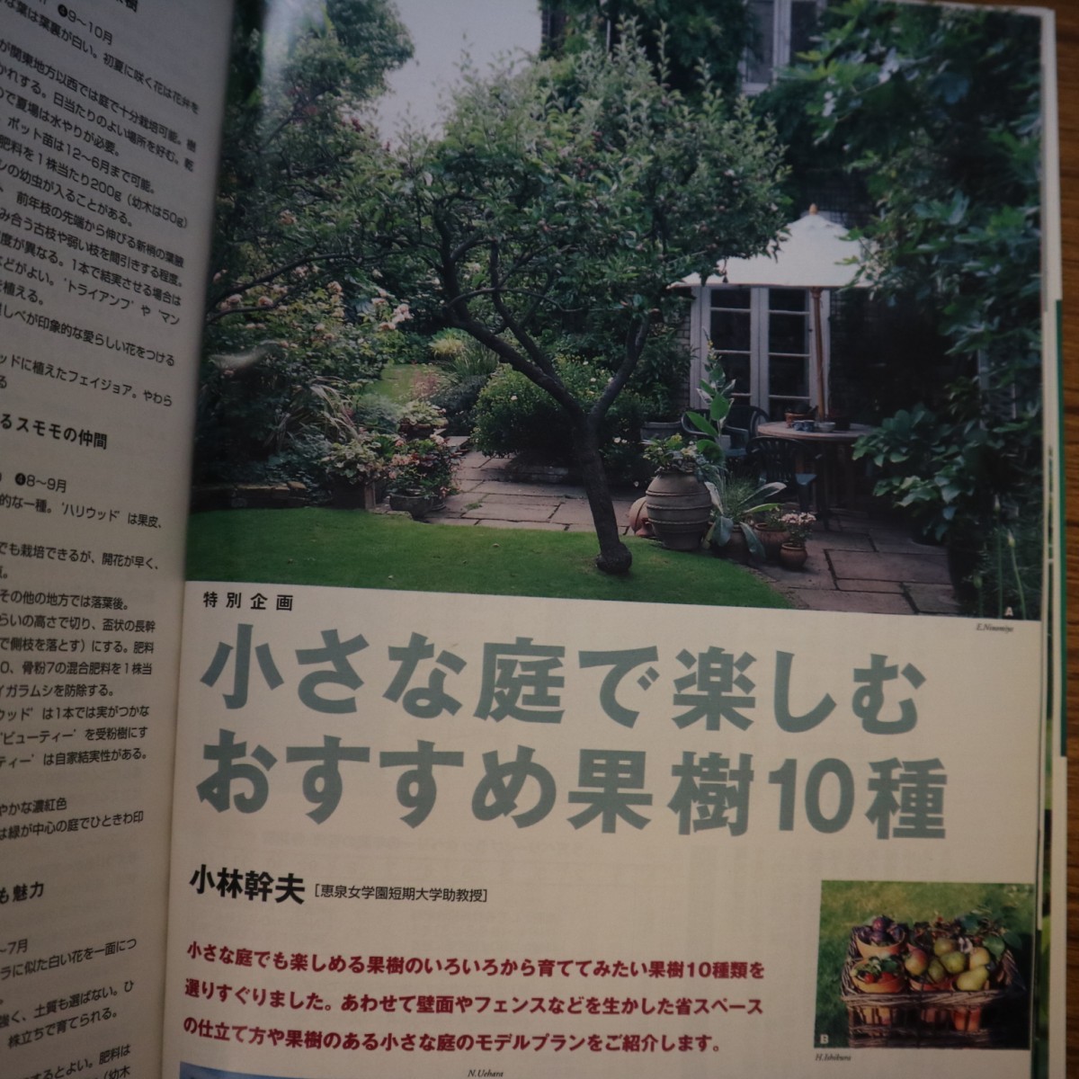 特2 51022 / NHK趣味の園芸 2000年11月号 果樹のある庭づくり ラ フランス 、ラズベリー、ブラックベリー ほか アリューム 実ものを楽しむ_画像4