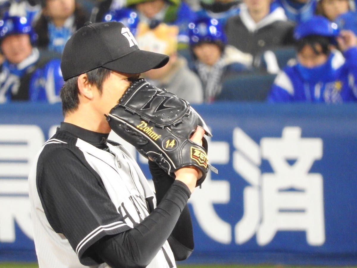 阪神タイガース14 能見篤史 実使用 グラブ グローブ 支給 ZETT 阪神タイガース14 能見篤史 実使用 グラブ グローブ 支給 ZETT