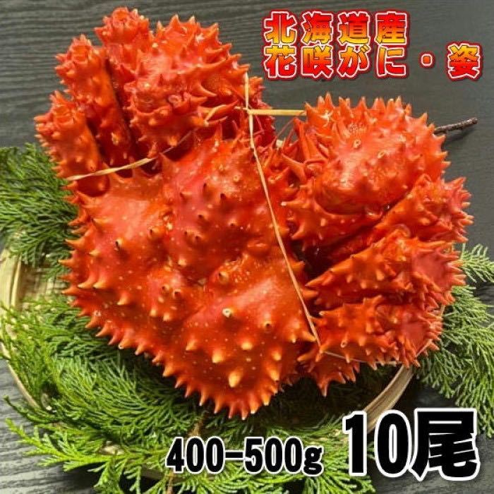 【訳あり】花咲がに　10尾（約400－500ｇサイズ）　ボイル　北海道産　花咲ガニ　かに　蟹　はなさきがに　冷凍_画像1