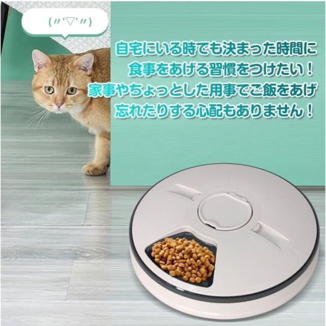 自動給餌器 ペット 6食分 おしゃれ ペットフィーダー 犬　猫　pt056_画像3