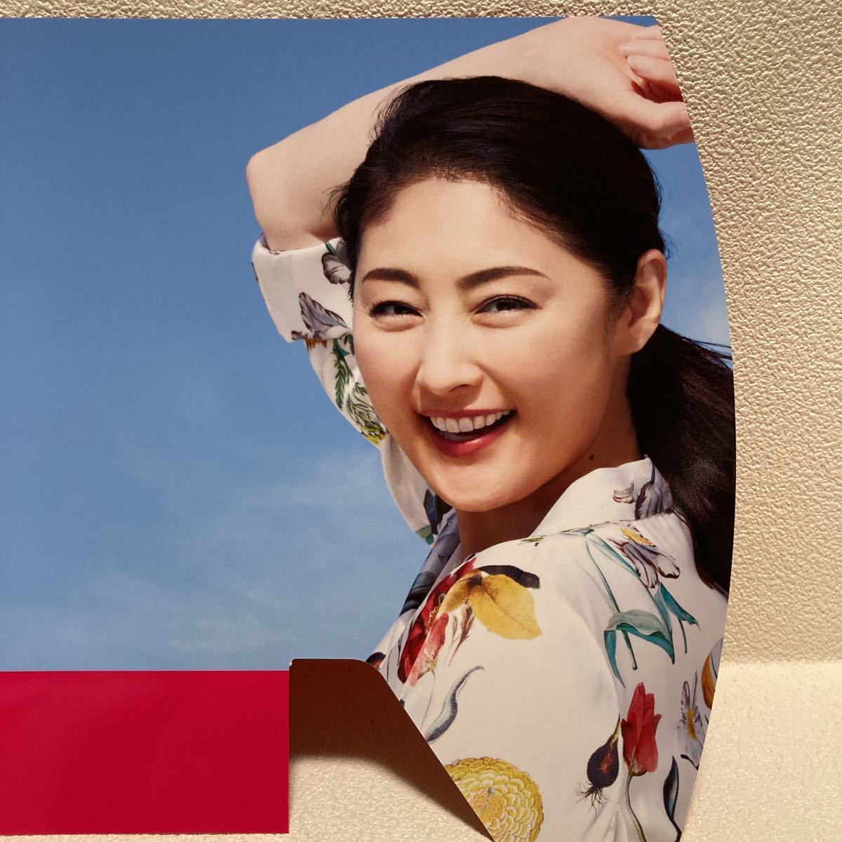  Tokiwa Takako prior .. pop 23.5cm × 19cm