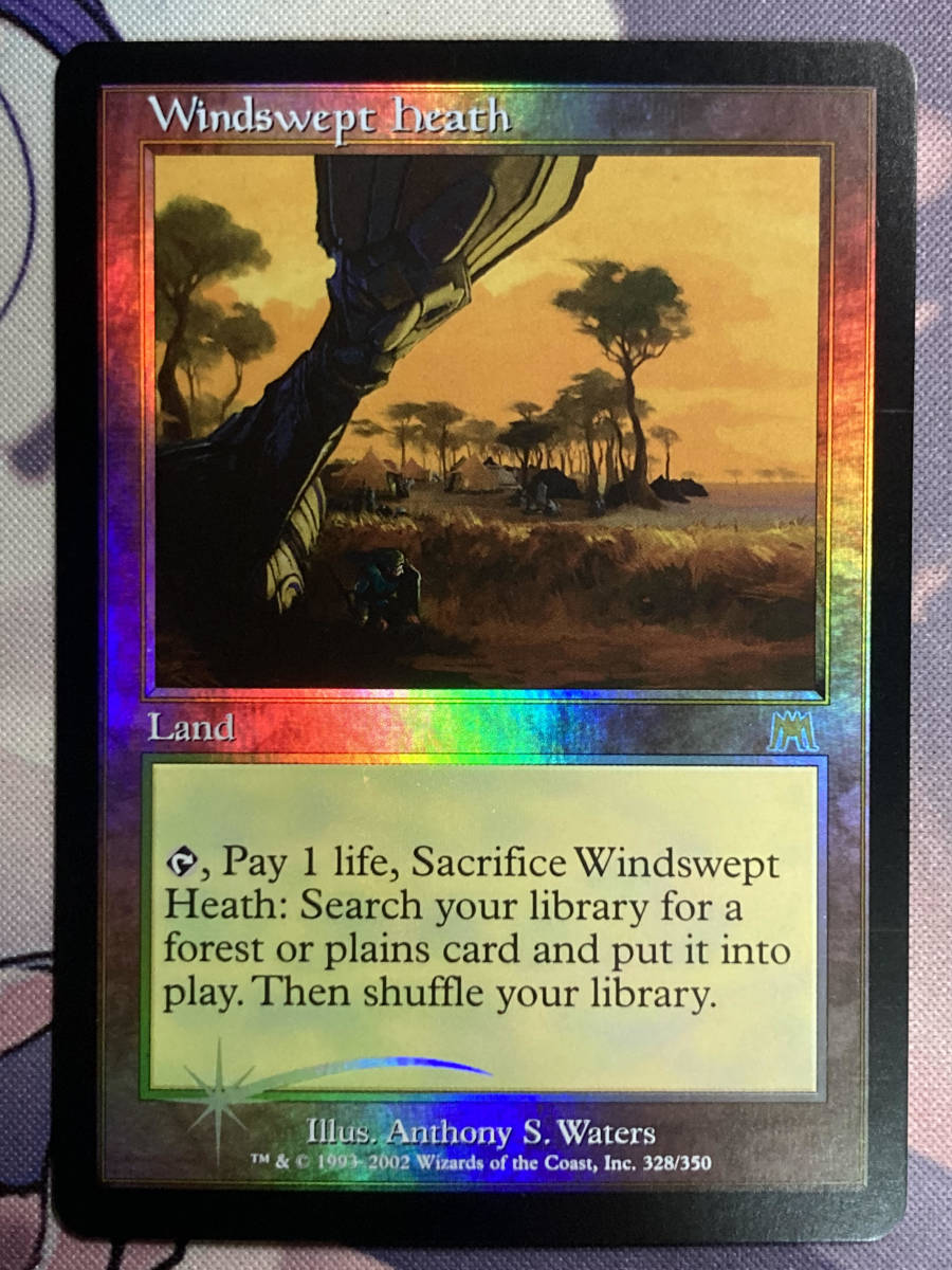 MTG 《吹きさらしの荒野/Windswept Heath》【foil】 ONS 英語 - ゲーム