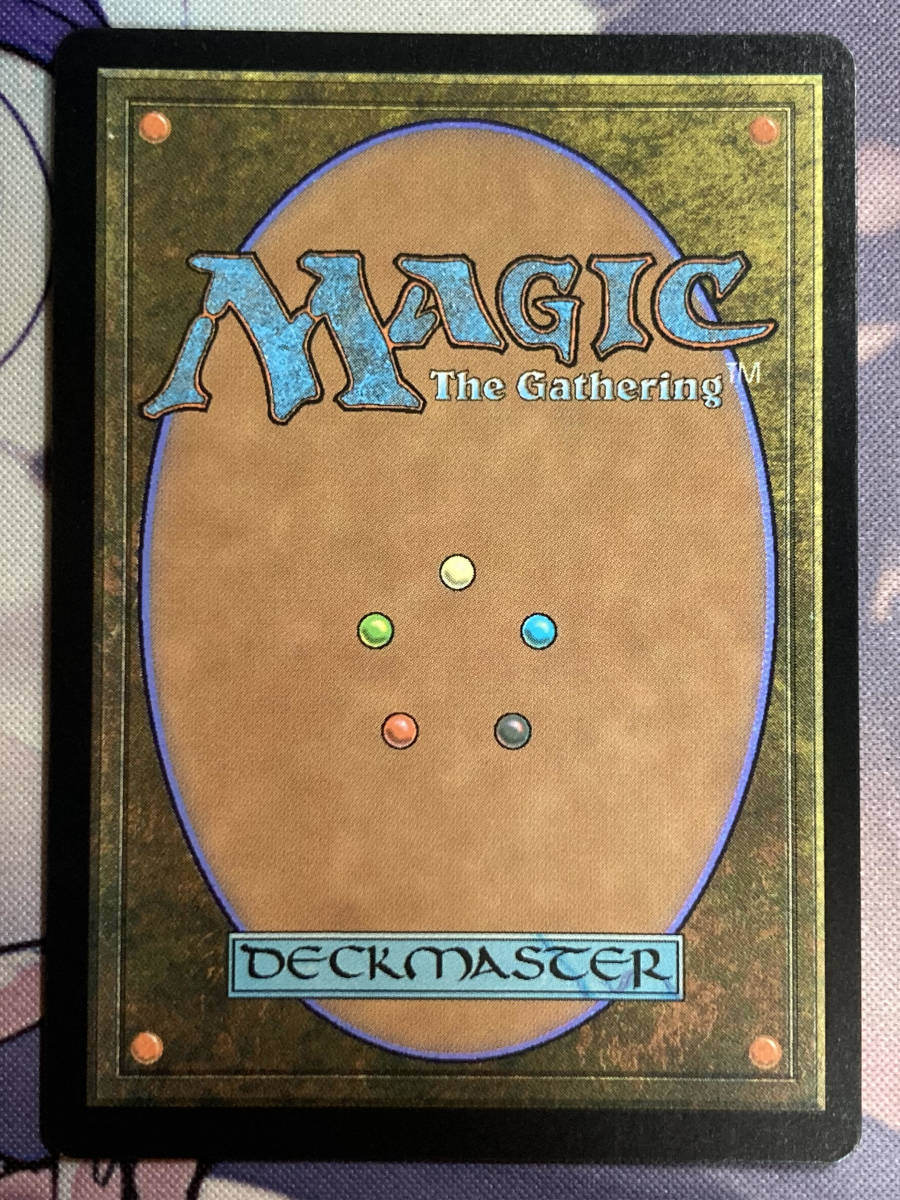 MTG 《霧深い雨林/Misty Rainforest》【foil】 EXP 英語 | www.bauen