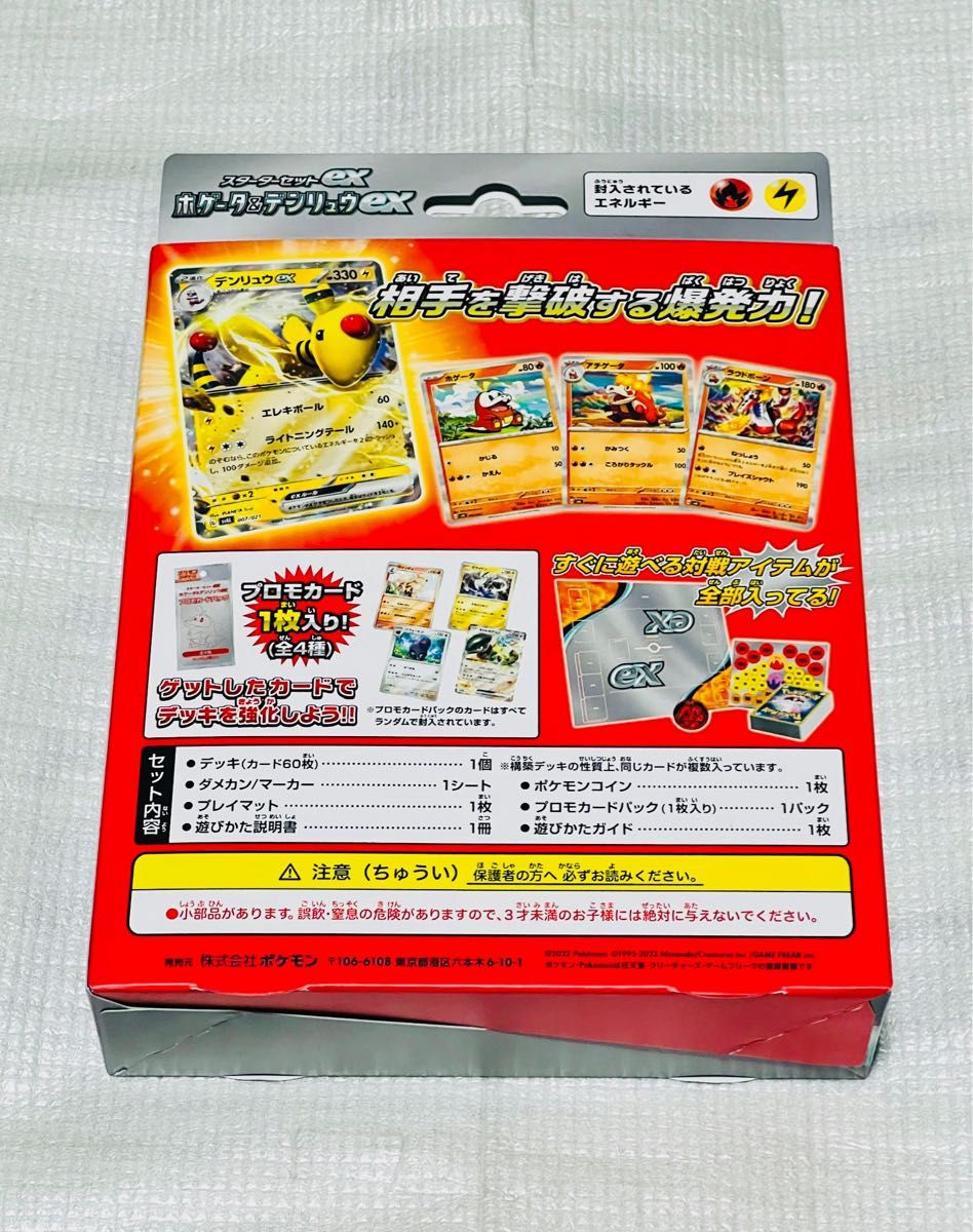 ポケモン　スカーレット&バイオレット ex ホゲータ&デンリュウex 新品未開封