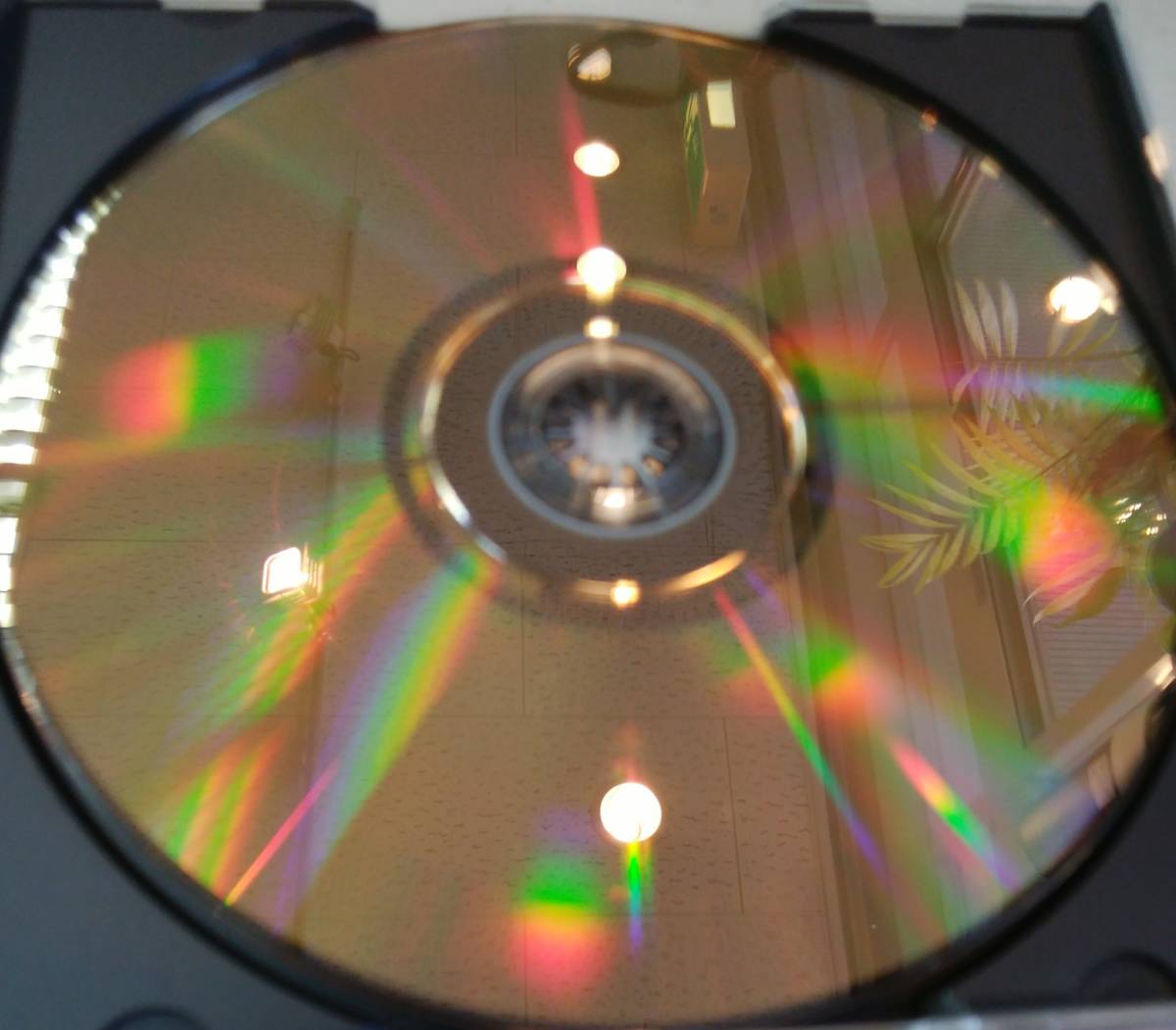 CD　名器の響き　ヴァイオリンの歴史的名器　ハイブリッドSACD　スーパーオーディオ　アモイヤル_画像8