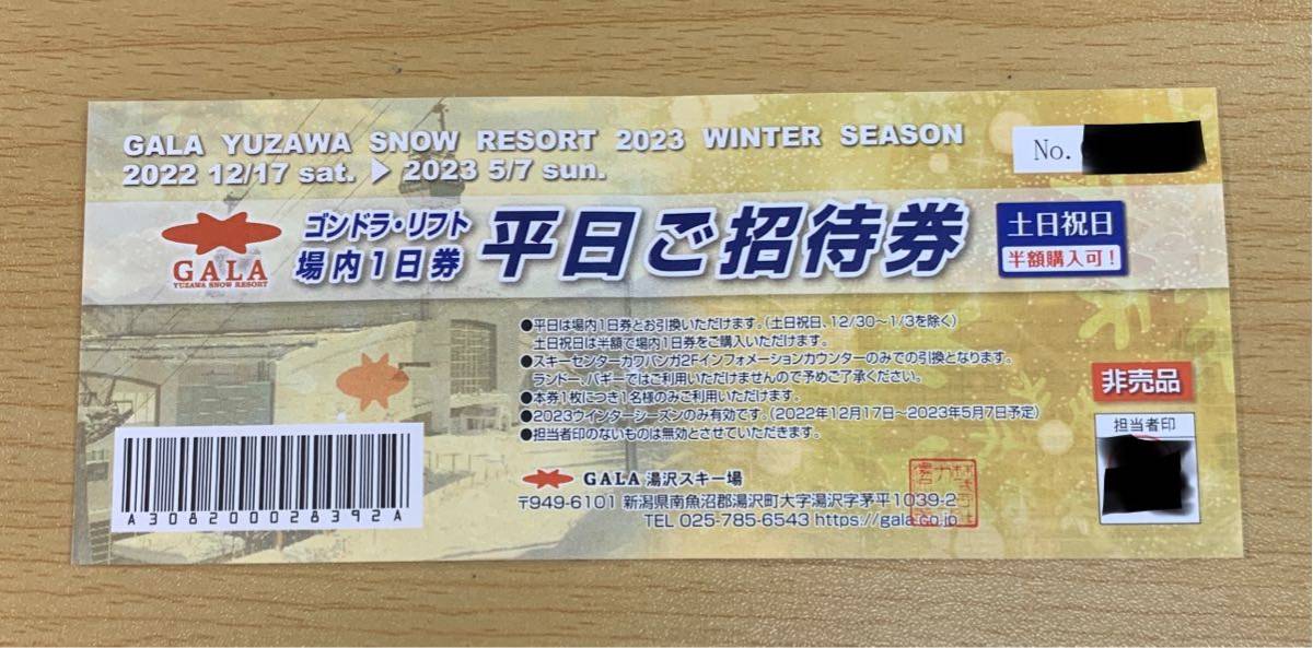 ガーラ湯沢 ゴンドラ・リフト 1日券 平日ご招待券 【18％OFF】 - スキー場