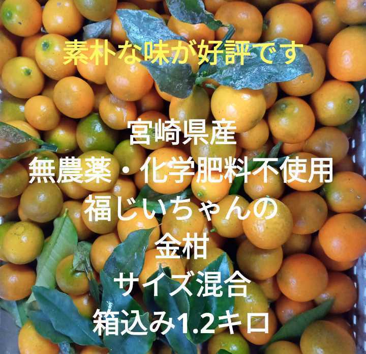 大好評です 無農薬 金柑 約750g en-dining.co.jp
