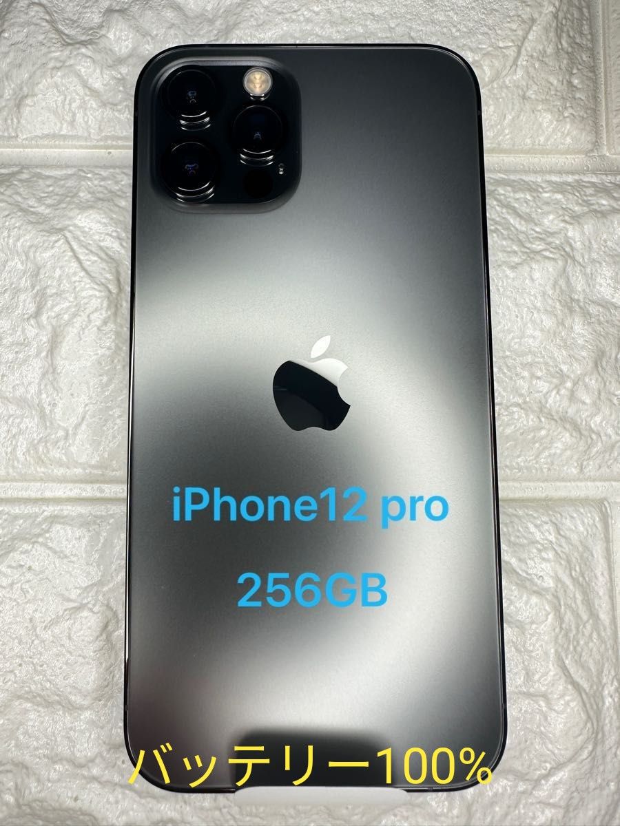 iPhone14 Pro 256G 黒 SIMフリー バッテリー最大容量100% | tspea.org