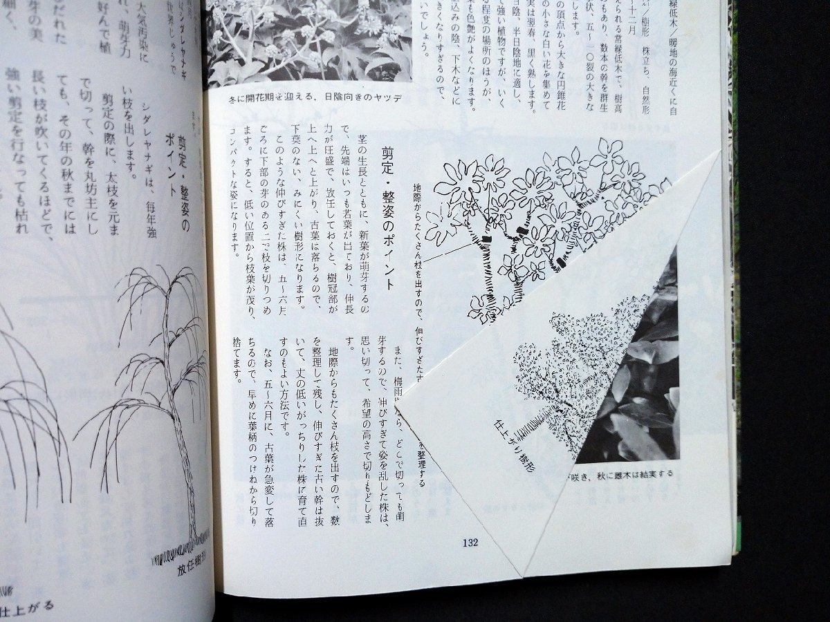ｆ▼▼ 庭木の仕立て方 あなたも植木屋 須賀明・著 昭和53年 第8刷 文化出版社 /K35の画像4