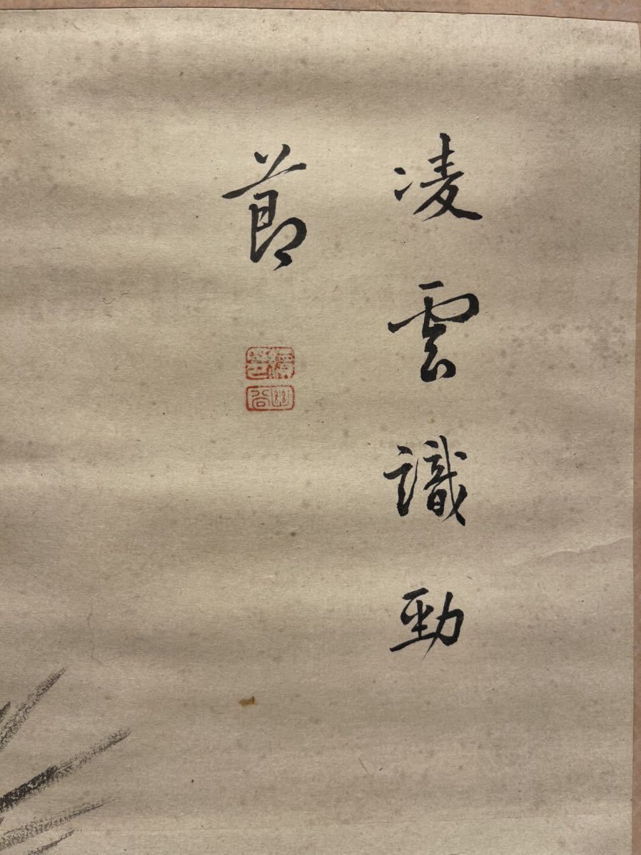日本売れ済 掛軸 模写 日本画 椿 椿山 掛け軸 共箱付き www