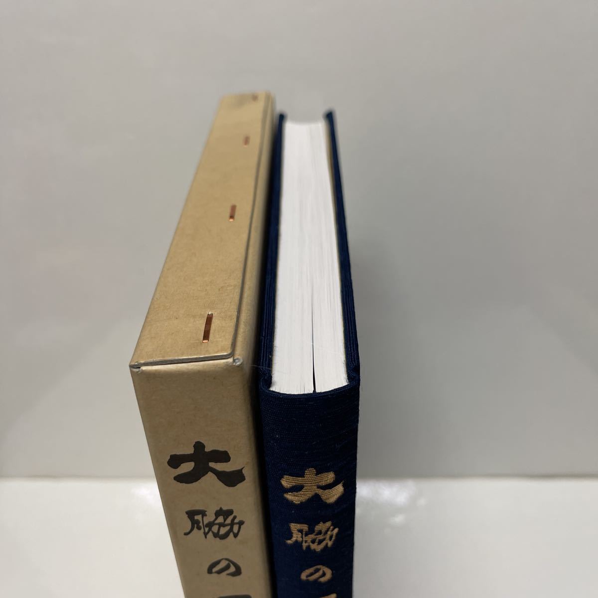 非売品 大脇の歴史 平成15年（2003年） 愛知県豊明市大脇区 石川清之（監修）_画像3