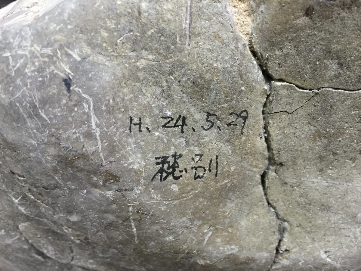 ■　アンモナイト 化石 穂別 約16×39cm 重量約10.6Kg 観賞石 (2) ★_画像8