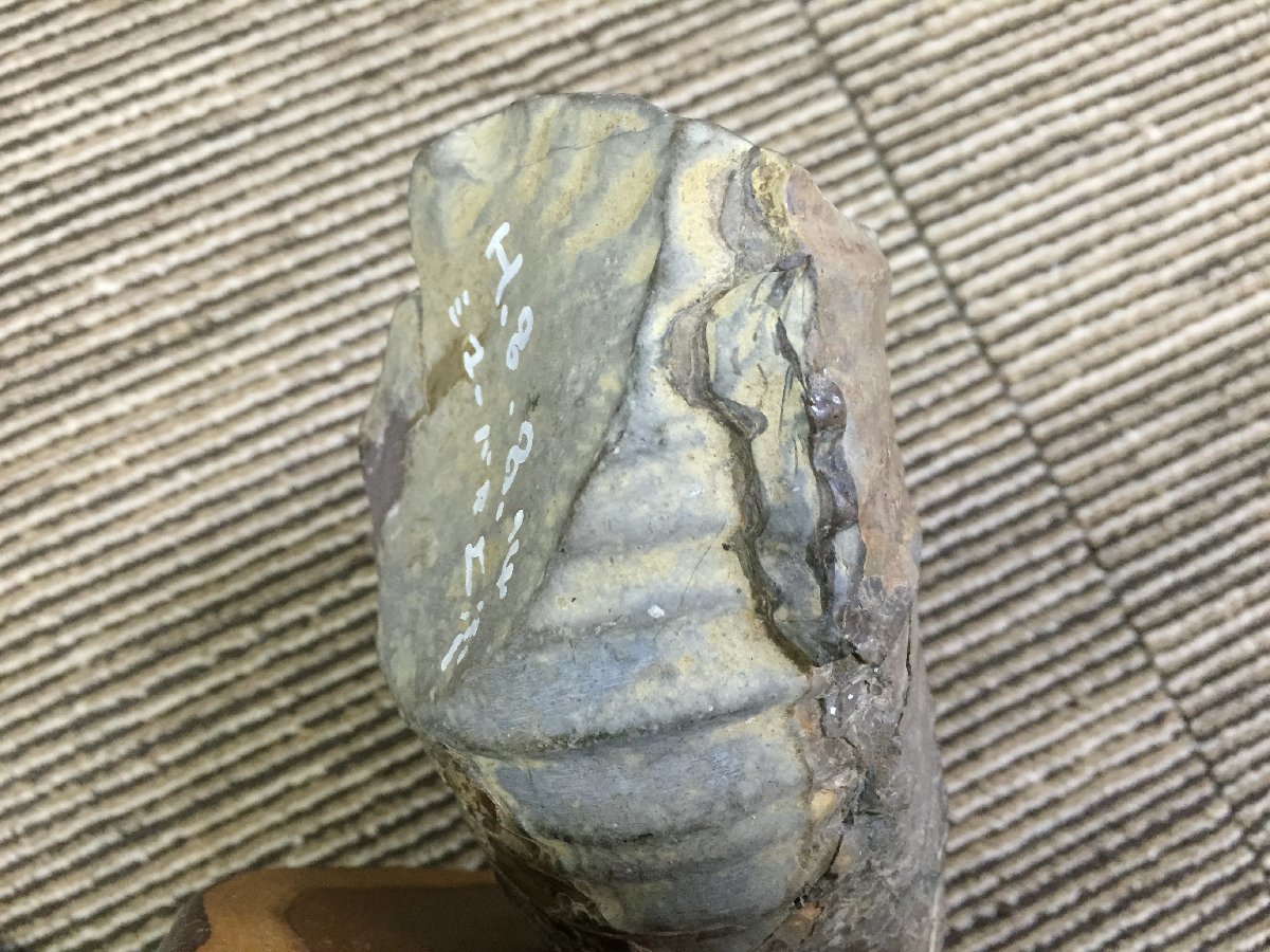 ■ アンモナイト 化石 シューパロ 約15×16cm 重量約2.4Kg 観賞石 (6) ★の画像5