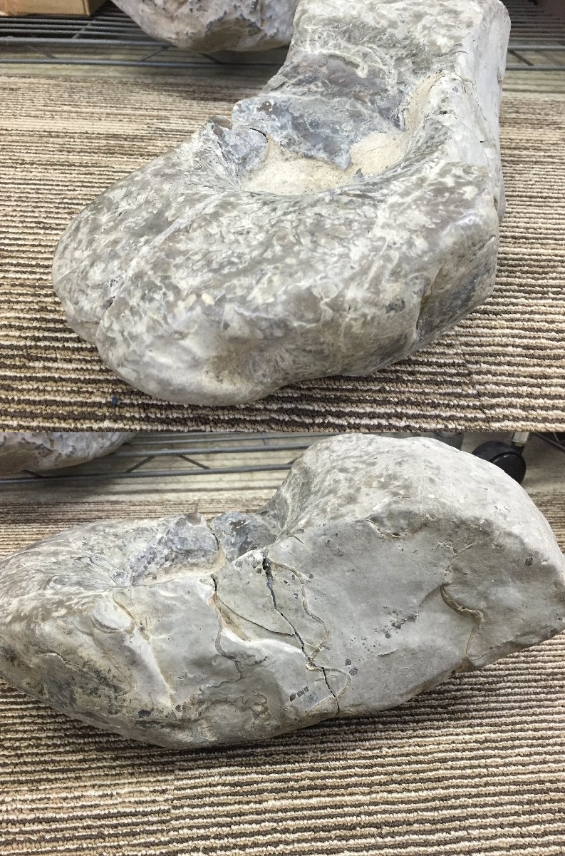 ■　アンモナイト 化石 穂別 約16×39cm 重量約10.6Kg 観賞石 (2) ★_画像4