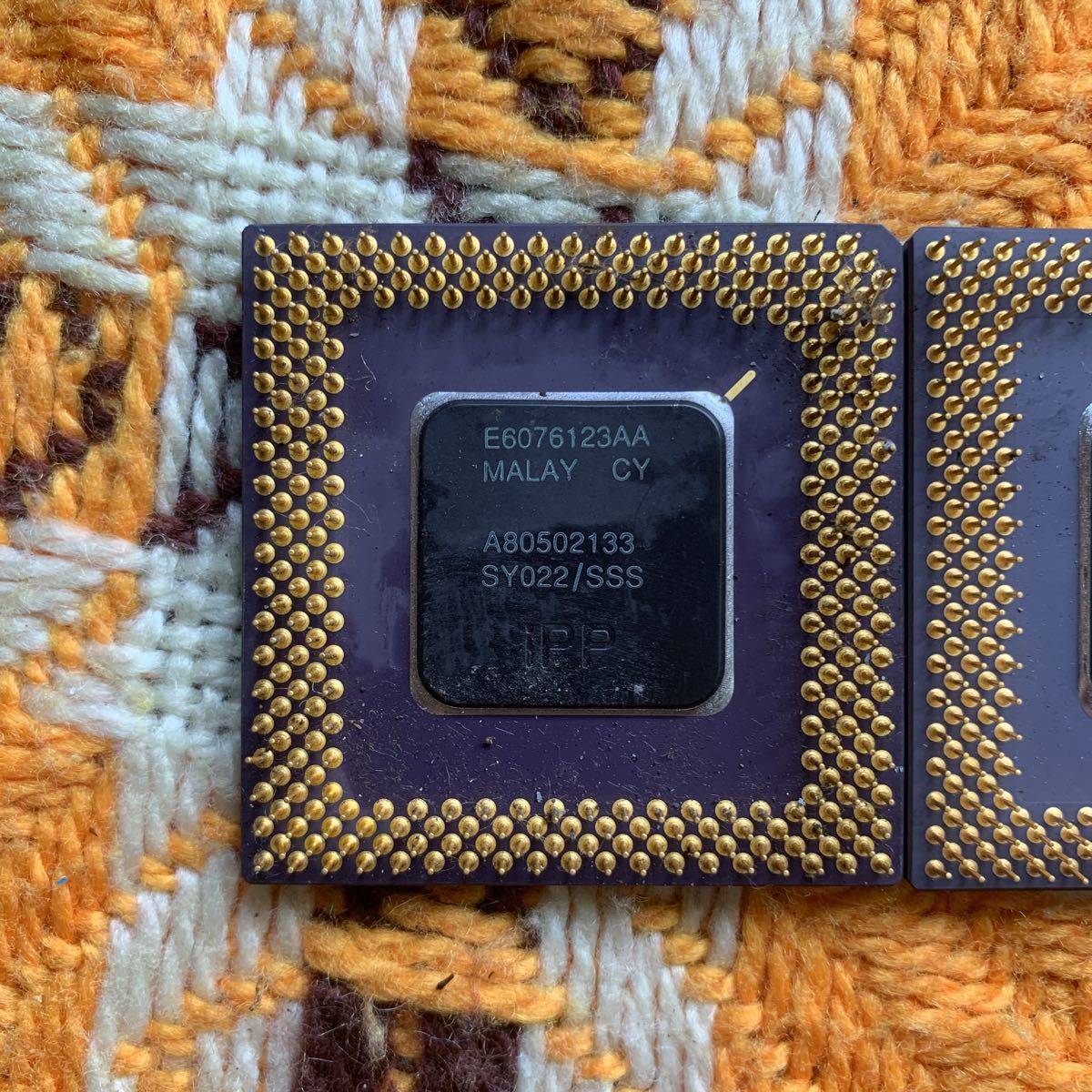 インテル Pentium CPU コレクション品 1993 focusdata.com.co